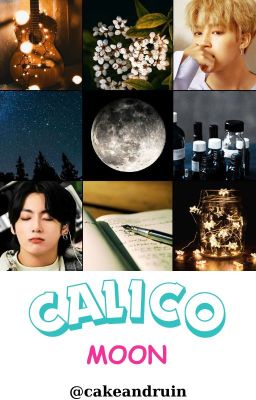 •kookmin• [v-trans] calico moon