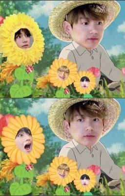 /kooktae/ flowertae.