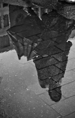 | KookV | Still here. |