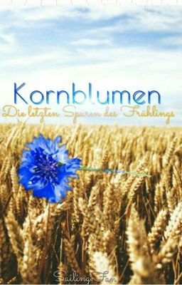 Kornblumen - Die letzten Spuren des Frühlings