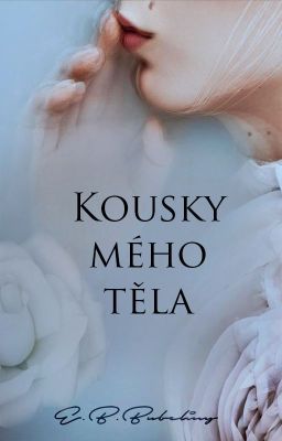 Kousky mého těla