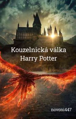 Kouzelnická válka - Harry Potter FF / Jednodílovka 