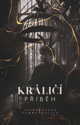 Králičí příběh [Snarry, ✓]