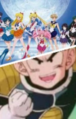 Krillin en Sailor Moon