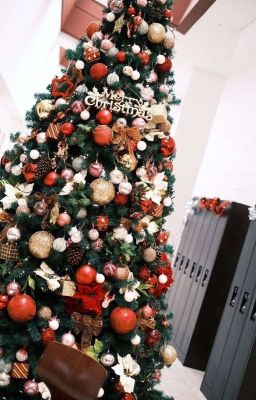 [ksw × jcm] our christmas