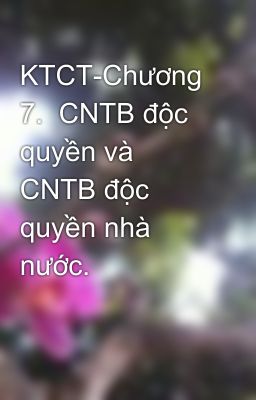 KTCT-Chương 7.  CNTB độc quyền và CNTB độc quyền nhà nước.