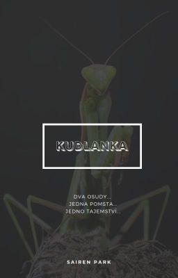 Kudlanka