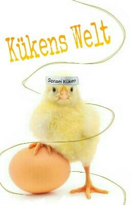 Kükens Welt