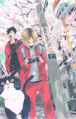 [Kuroo x Kenma] Kuroo Loves Kenma