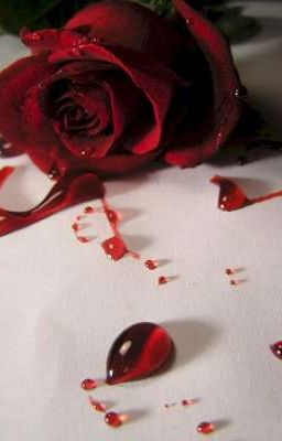 [KuroxKira] duyên không thành