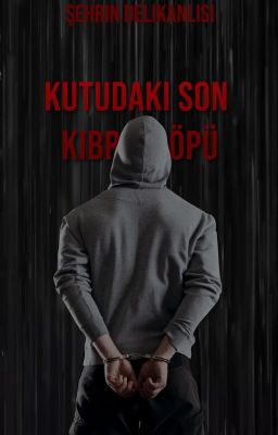 Kutudaki Son Kibrit Çöpü +18 (Bir Rüya İçin Ağıt)