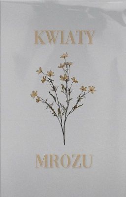 kwiaty mrozu