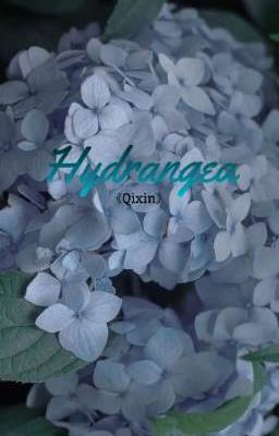 |Kỳ Hâm| - Hydrangea 