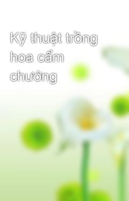 Kỹ thuật trồng hoa cẩm chướng