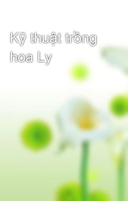 Kỹ thuật trồng hoa Ly