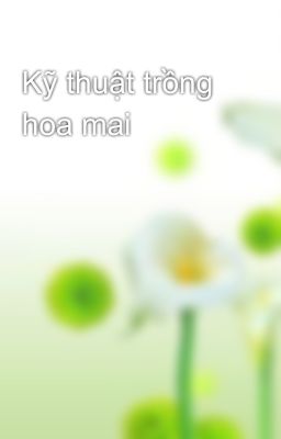 Kỹ thuật trồng hoa mai