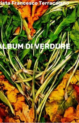 L' ALBUM DI VERDURE