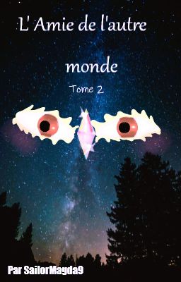 L'Amie de l'autre monde ~ countryhumans x reader ~ Tome 2