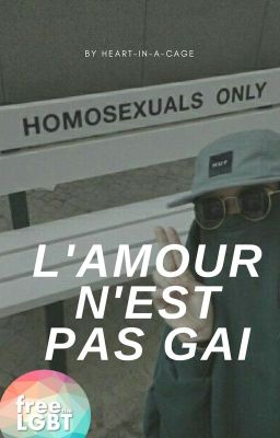 L'amour n'est pas gai