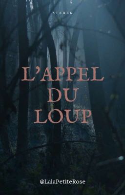 L'appel du loup / Sterek T2