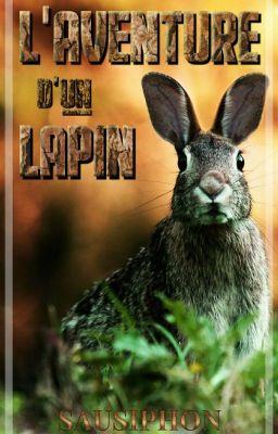 L'aventure D'un Lapin