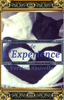 L'EXPÉRIENCE ~ version nouvelle