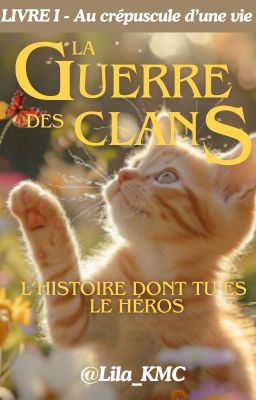 L'histoire dont tu es le héros LGDC | Tome.I - Au Crépuscule D'une Vie -