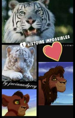 L'histoire impossibles 