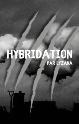 l Hybridation