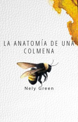 La anatomía de una colmena.