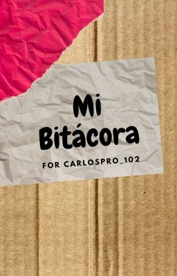 La bitácora de Carlos