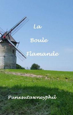 LA BOULE FLAMANDE