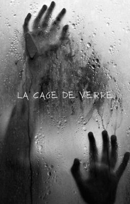 La cage de Verre