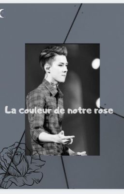 La couleur de notre rose [EXO]