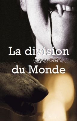 La division du Monde