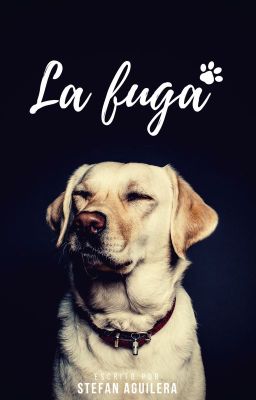 La fuga  [One-shot]