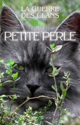 La Grotte De Petite Perle[En Pause]