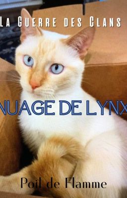 La Guerre des Clans - Nuage de Lynx