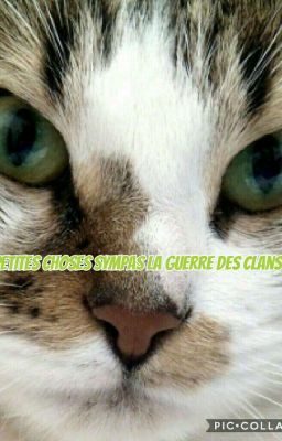 La Guerre des Clans :Petites choses sympas ...