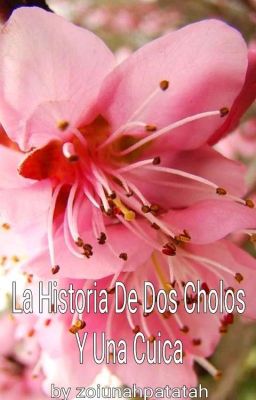 La Historia De Dos Cholos Y Una Cuica