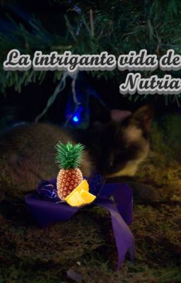 La intrigante vida de Nutria