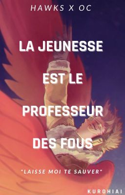 La Jeunesse est le professeur des fous [Hawks x OC]