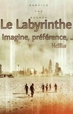 La Labyrinthe : Imagine, préférence, Etc