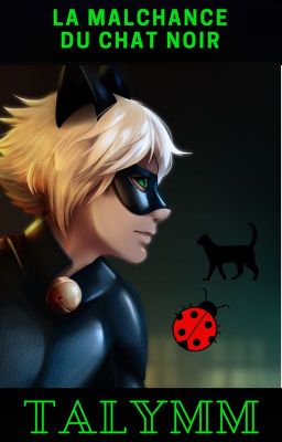 La malchance du chat noir (TERMINEE)