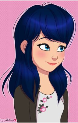 La nouvelle vie de Marinette