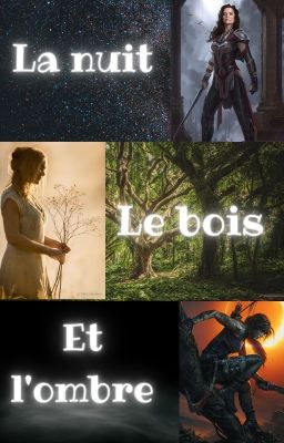 La nuit, le bois et l'ombre