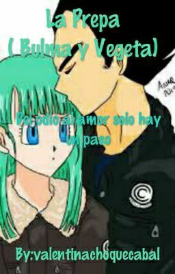 La Prepa (Bulma Y Vegeta)