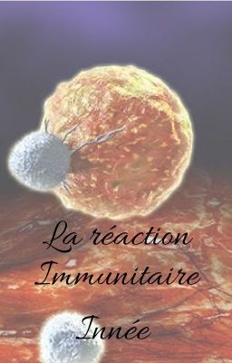 La réaction immunitaire innée