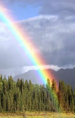 La route vers l'arc-en-ciel !