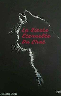 ✴ La Sieste Éternelle Du Chat ✴